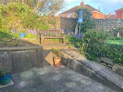 Picture 23